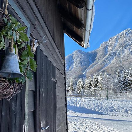 Chalet am Weißenbach Hinterstoder Exterior foto